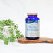 Efamol Brain Efalex Brain Formula 240 Capsules - Energy & Mind at MySupplementShop by Efamol