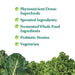 Garden of Life Perfect Food Super Green Formula, Powder - 600g - Health Foods at MySupplementShop by Garden of Life
