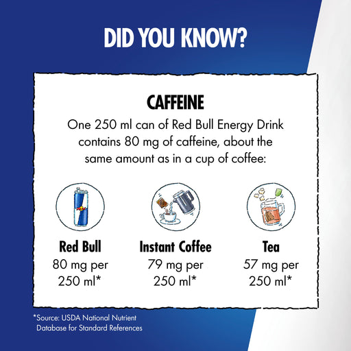 Red Bull Summer Edition 12x355ml