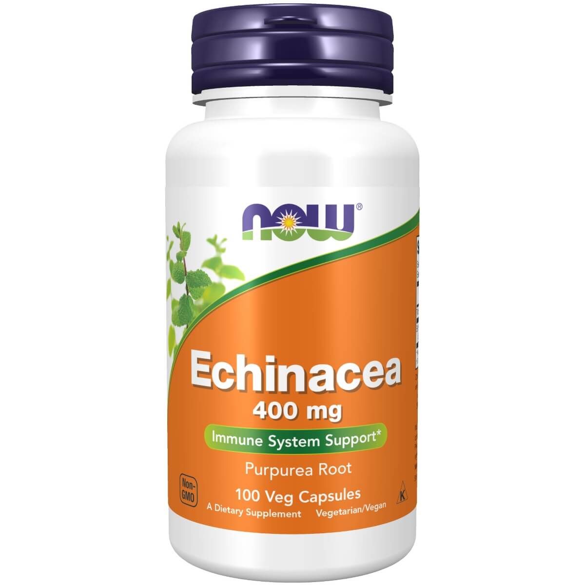 NOW Foods Echinacea 400 mg 100 Veg Capsules - Health and Wellbeing at MySupplementShop by NOW Foods