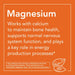 NOW Foods Magnesium Citrate 120 Veg Capsules - Vitamins & Minerals at MySupplementShop by NOW Foods