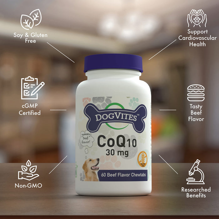 Health Thru Nutrition CoQ10 For Dogs, 30mg, Beef Flavour - 60 chewtabs - Multivitamins at MySupplementShop by Health Thru Nutrition