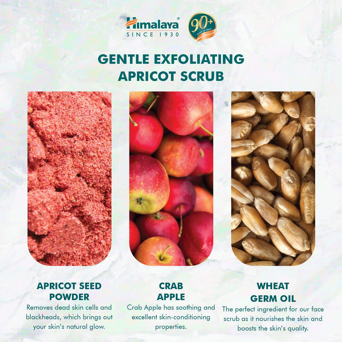 Himalaya Gentle Exfoliating Apricot Scrub - 75 ml. - Sports Supplements at MySupplementShop by Himalaya
